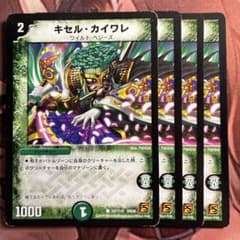 管理番号7435)キセルカイワレ×4 - メルカリ