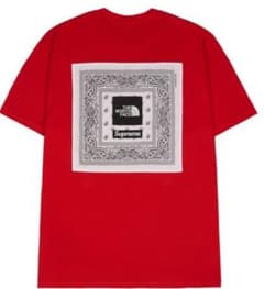 The North Face / Supreme Bandana T 赤のサムネイル