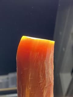 天然赤松 ファットウッド 極上品 80g おまけ付きのサムネイル