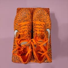 ドラゴンフライ25cm Nike ドラゴンフライ2 OLY 25cm - メルカリ