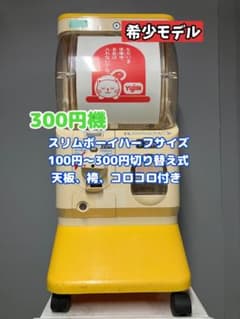 希少300円対応SHO-047A【ユージンスリムボーイ】ハーフサイズ中古