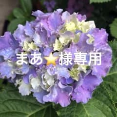まあ⭐️様専用のサムネイル