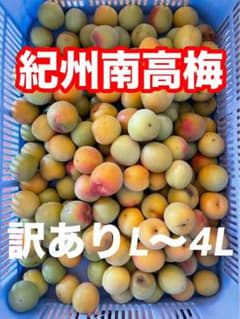 和歌山県産 紀州南高梅 訳あり L〜4L 5キロ - メルカリ