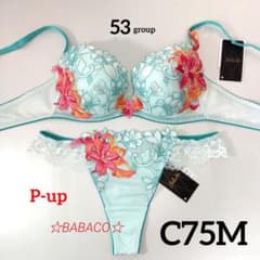 ☆サルート53 ブラ＆ショーツ ME C75M レトロモダン 匿名配送 - メルカリ