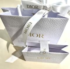DIOR ディオール ギフト用紙袋 2点セット （通常サイズ＋リップ用ミニ）のサムネイル