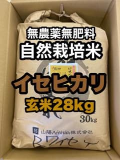 自然栽培【イセヒカリ】玄米28kg 新米 令和7年度産 無農薬無肥料の自然栽培米 自然栽培【イセヒカリ】玄米28kg 新米 令和7年度産 無農薬無肥料の自然
