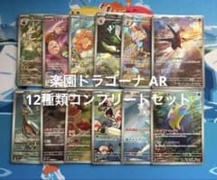 楽園ドラゴーナ AR 12種類 コンプリートセット - メルカリ