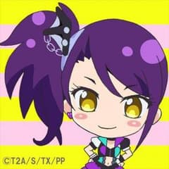【mkn様専用】プリパラドリチケのサムネイル