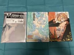 ONE PIECE 컬렉션 카드