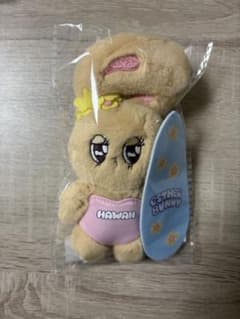 ハワイ限定　ESTHER BUNNY ぬいぐるみ キーホルダーのサムネイル