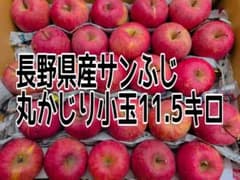 長野県産 サンふじ 丸かじり小玉 11.5キロのサムネイル