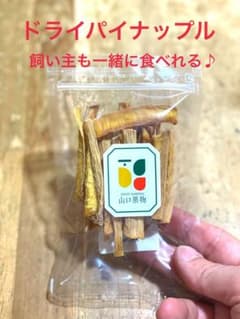 かじり棒　乾燥パイナップルポリポリのサムネイル
