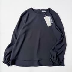 新品未使用✨️現行品 セオリーリュクス ELIDA4 BLOUSE 洗えるブラウス 新品未使用✨️現行品 セオリーリュクス ELIDA4 BLOUSE 洗えるブラウス