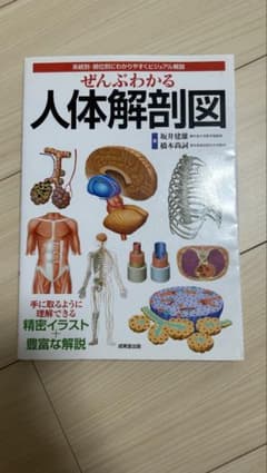 系統別・部位別にわかりやすくビジュアル解説 ぜんぶわかる人体解剖学のサムネイル