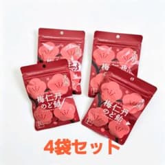 ★リクエスト品★ 森下仁丹　梅仁丹のど飴 80袋セット 森下仁丹 梅仁丹のど飴 4袋セット - メルカリ