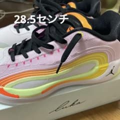 NIKE JORDAN LUKA 4 GONE PF 28.5cm - メルカリ