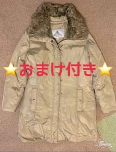 ★おまけ付き★ ★お値下げ★エディーバウアーダウンコート　XL(L L)サイズのサムネイル