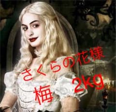 青梅　2kgのサムネイル