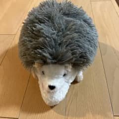 シャクレルプラネット ハリネズミのサムネイル