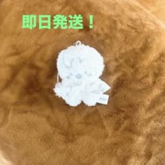 即日発送！Straykids スキズ RUN ITソウルコン microポガリ白 - メルカリ