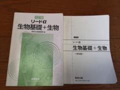 くまさん専用のサムネイル