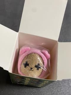 レトころ 異物混入のサムネイル