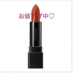 セルヴォーク09 テラコッタのサムネイル