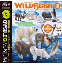 ワイルドラッシュのサムネイル