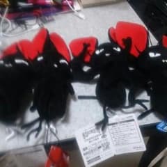 チュパカブラのぬいぐるみセットのサムネイル
