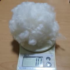 自家栽培　オーガニックコットンのサムネイル