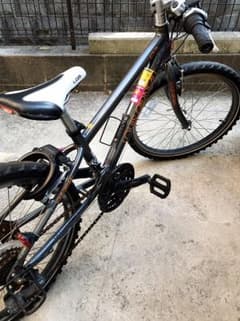 LOUIS GARNEAU ルイガノ LGS J22 キッズ ジュニアのサムネイル
