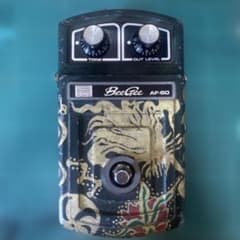 Roland BeeGee AF-60のサムネイル