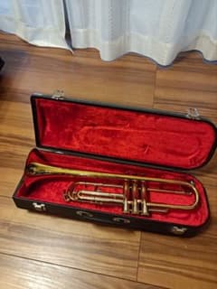 m77547375026_1.jpg?1722849696