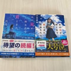 あの星が降る丘で、君とまた出会いたい。のサムネイル