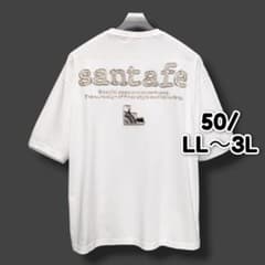 サンタフェ santafe アップリケ刺繍 パイソン柄 Tシャツ 50 5a3 - メルカリ
