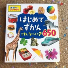 はじめてずかん これ、な～に?650 写真で言葉がぐんぐんわかる! 英語つきの…のサムネイル