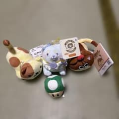 고양이 아츠메 크리에이터스 새끼 고양이 뿌린 버섯 정리 판매