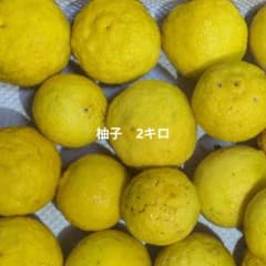 柚子　2キロのサムネイル