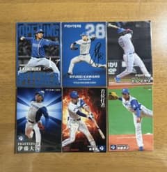 カルビー プロ野球チップス 北海道日本ハムファイターズ カード11枚