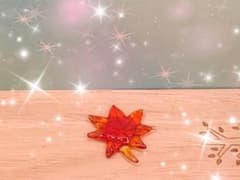 可愛い*°♡落ち葉　楓（カエデ）☆ミニチュア　ガラス細工⋆*˸✻*˸ꕤ