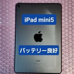 iPad mini (第5世代) バッテリー良好 Wi-Fiモデル 64GB - メルカリ