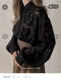 apres jour clair 2WAYオパールシャツのサムネイル