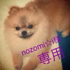 nozomi☆i様専用のサムネイル