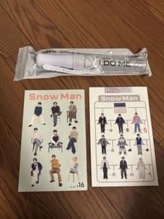 【点灯確認済】Snow Man 1st DOME tour 2023 ペンライトのサムネイル