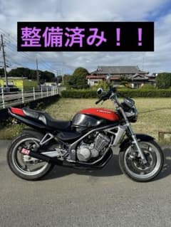 m77590787014_1.jpg?1729844193