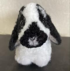 動物ぽんぽん　coocoo様専用のサムネイル