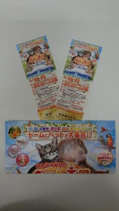 みんな大好き！！ペット王国２０２４特別招待券2枚セットのサムネイル