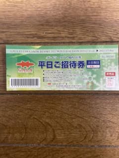 【お値下げ】GALA湯沢スキー場リフト券【平日のみ】のサムネイル
