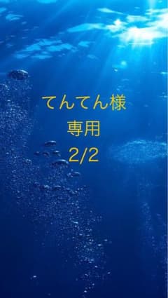 てんてん様専用　2/2のサムネイル