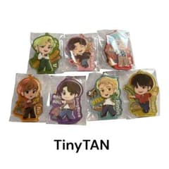 BTS TinyTAN BT21 아크릴 키홀더 14점 세트